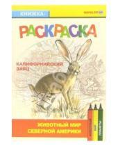 Картинка к книге Раскраски - Калифорнийский заяц. Живой мир Америки