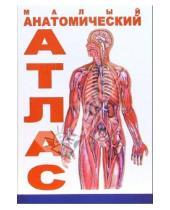 Картинка к книге А. А. Швырев - Малый анатомический атлас