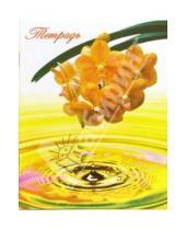 Картинка к книге Тетради - Тетрадь 48 листов клетка. Желтая орхидея (ТКЛ848921)