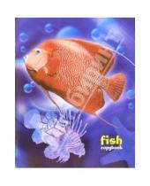 Картинка к книге Тетради - Тетрадь 48 листов клетка. Красная рыба (ТКБ848842)