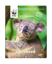 Картинка к книге Канцелярские товары - Notebook А6 80 листов 2934 WWF (коала)