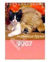 Картинка к книге Диона - Календарь 2007 Настоящие друзья (10607)