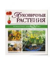 Картинка к книге Комнатное цветоводство - Луковичные растения