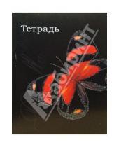 Картинка к книге Тетради - Тетрадь 48 листов, клетка (ТКБ848731) Красная бабочка