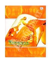 Картинка к книге Тетради - Тетрадь 96 листов, клетка (ТКЛ7961230) Апельсин