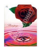 Картинка к книге Тетради - Тетрадь 48 листов клетка Красная роза (ТКЛ848920)