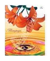 Картинка к книге Тетради - Тетрадь 48 листов клетка Оранжевая лилия (ТКЛ848919)