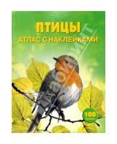 Картинка к книге Филипп Кларк - Птицы: Атлас с наклейками