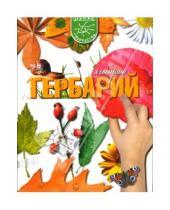 Картинка к книге А. Е. Данилова - Я собираю гербарий