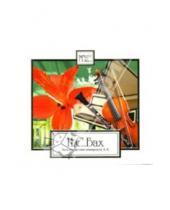Картинка к книге Себастьян Иоганн Бах - И. С. Бах. Бранденбургские концерты (1, 2, 3) (CD)