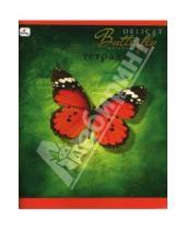 Картинка к книге Тетради - Тетрадь 48 листов клетка Оранжевая бабочка (ТКБ8481381)