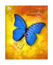 Картинка к книге Тетради - Тетрадь 48 листов, клетка (ТКБ8481380) Синяя бабочка