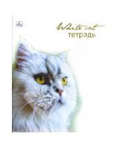 Картинка к книге Тетради - Тетрадь 48 листов клетка (ТКБ8481611) Стильные кошки. Белая на белом