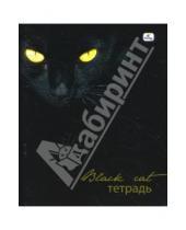 Картинка к книге Тетради - Тетрадь 48 листов клетка (ТКБ8481612) Стильные кошки. Черная