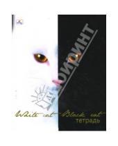 Картинка к книге Тетради - Тетрадь 48л клетка ТКБ8481613 Стильные кошки. Черно-белая