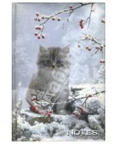 Картинка к книге BG - Блокнот 80 листов (2433) "Котенок в снегу"