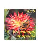 Картинка к книге Календарь настенный 300х300 - Календарь 2009 Календарь природы (70808)