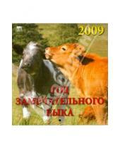 Картинка к книге Календарь настенный 160х170 - Календарь 2009 Год замечательного быка (30807)