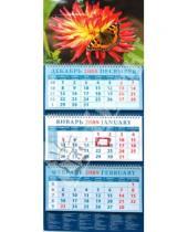 Картинка к книге Календарь квартальный 320х780 - Календарь 2009 Бабочка на цветке (14816)
