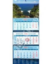 Картинка к книге Календарь квартальный 320х780 - Календарь 2009 Морской вид (14822)