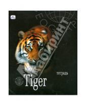 Картинка к книге Тетради - Тетрадь 48л  клетка ТКЛ8481596 GEO Тигр