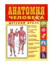 Картинка к книге Александр Мирер - Анатомия человека
