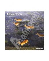 Картинка к книге Календарь 300х300 - Календарь Африка 2009 (2858-8)