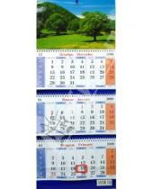 Картинка к книге Календарь квартальный - Календарь 2009 Дерево. Гора (12)