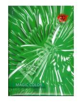 Картинка к книге TRILOGIKA - Бизнес-блокнот А6 80 листов (Magic Color)