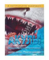 Картинка к книге Дэниел Гилпин - Акулы и другие обитатели подводного мира