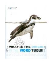Картинка к книге Silwerhof - Тетрадь 48 листов "Пингвин" (811007-55)