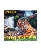 Картинка к книге Календарь настенный 300х300 - Календарь 2010 "Год тигра" (70914)