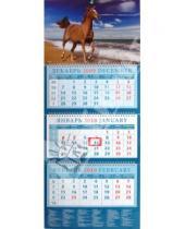 Картинка к книге Календарь квартальный 320х760 - Календарь 2010 Лошадь на берегу моря (14954)
