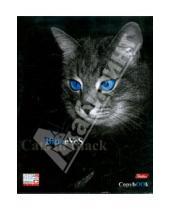 Картинка к книге Хатбер - Тетрадь 48 листов Кошачьи глазки (48Т5влС1)