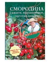 Картинка к книге Михайлович Николай Звонарев - Смородина. Сажаем, выращиваем, заготавливаем