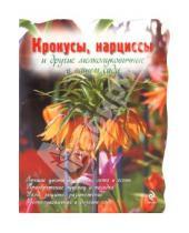 Картинка к книге Геннадьевна Юлия Попова - Крокусы, нарциссы и другие мелколуковичные цветы