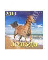 Картинка к книге Календарь настенный 300х300 - Календарь настенный 2011 год. "Лошади" (71003)
