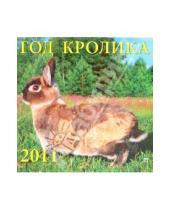 Картинка к книге Календарь настенный 300х300 - Календарь настенный 2011 год "Год кролика" (71014)