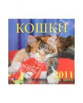 Картинка к книге Календарь настенный 300х300 - Календарь настенный 2011 год. "Кошки" (71021)