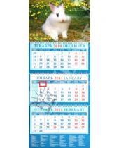 Картинка к книге Календарь квартальный 320х780 - Календарь квартальный 2011 год. "Год кролика. Кролик на фоне фелтых цветов" (14111)