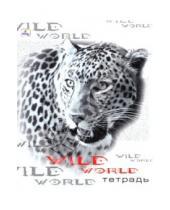 Картинка к книге Тетради - Тетрадь, 96 листов, клетка. "Wild world" (ассортимент) (ТКБ962337,38,39,40,41)