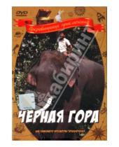 Картинка к книге Александр Згуриди - Черная гора (DVD)