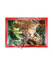 Картинка к книге Puzzle-1000 - Puzzle-1000 "Леопард" (C-102051)