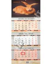 Картинка к книге Календари квартальные - Календарь "Рыжий кролик" квартальный 2011