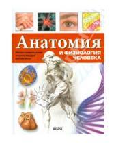 Картинка к книге Александровна Яна Батий - Анатомия и физиология человека