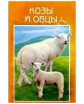 Картинка к книге Владис - Козы и овцы. Разведение. Выращивание. Использование продукции