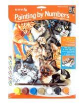 Картинка к книге Reeves - Набор для раскрашивания красками "Котята" (PPNJ33)