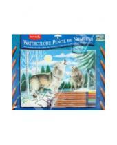 Картинка к книге Reeves - Набор для раскрашивания цветными карандашами "Волки" (PPWP3)