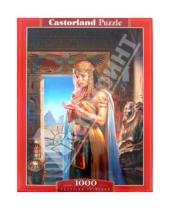 Картинка к книге Puzzle-1000 - Египетская принцесса, 1000 деталей (C-102037)
