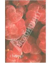 Картинка к книге Доминанта - Тетрадь 96 листов "Red", клетка (V080160SS)